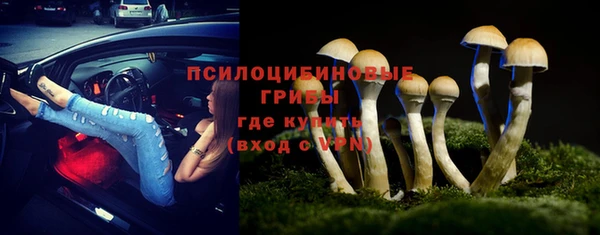 PSILOCYBIN Новодвинск