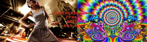 PSILOCYBIN Новодвинск