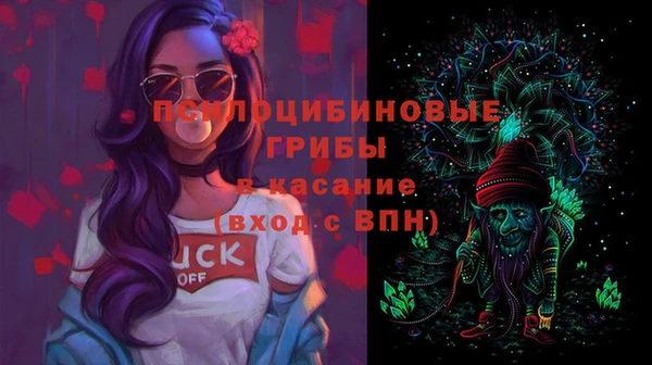 молекула духа Бутурлиновка