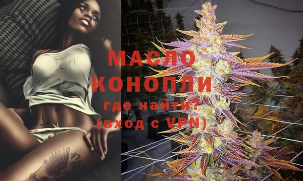 спайс Няндома