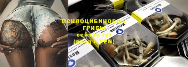 молекула духа Бутурлиновка