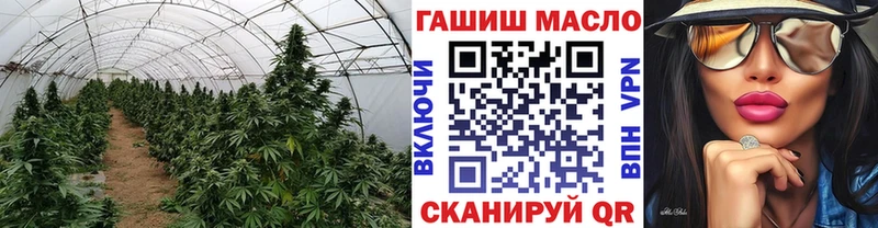 ТГК вейп с тгк  кракен как зайти  Динская 