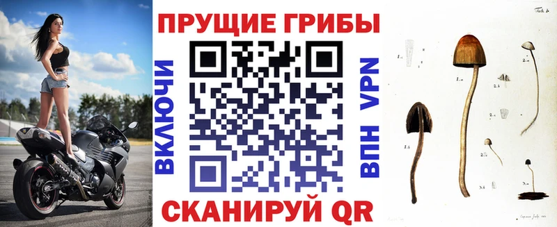 Псилоцибиновые грибы GOLDEN TEACHER  ссылка на мегу ONION  Динская 