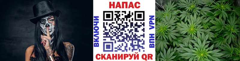 Канабис план Динская